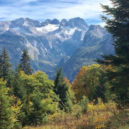 Апартаменти Dachstein Mountainview Гозау Екстер'єр фото