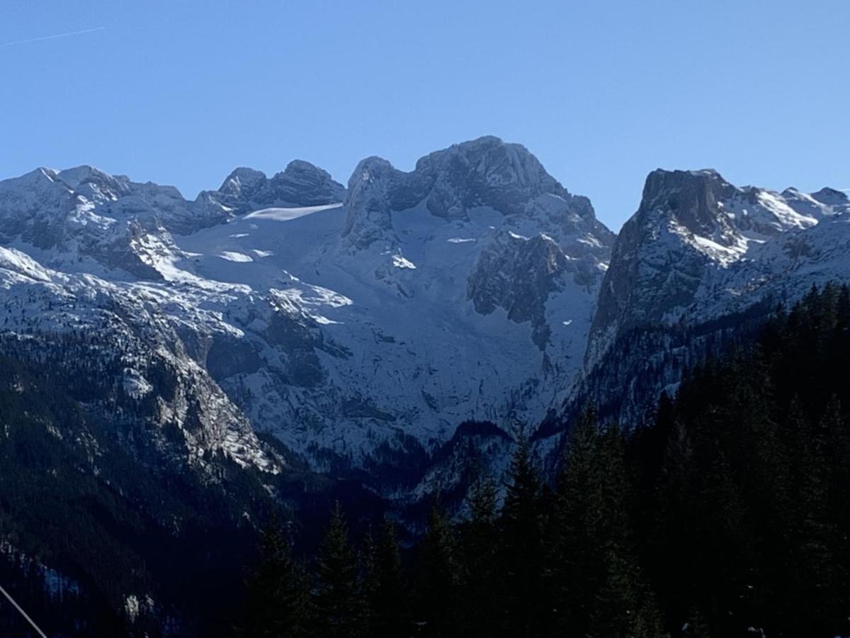 Апартаменти Dachstein Mountainview Гозау Екстер'єр фото