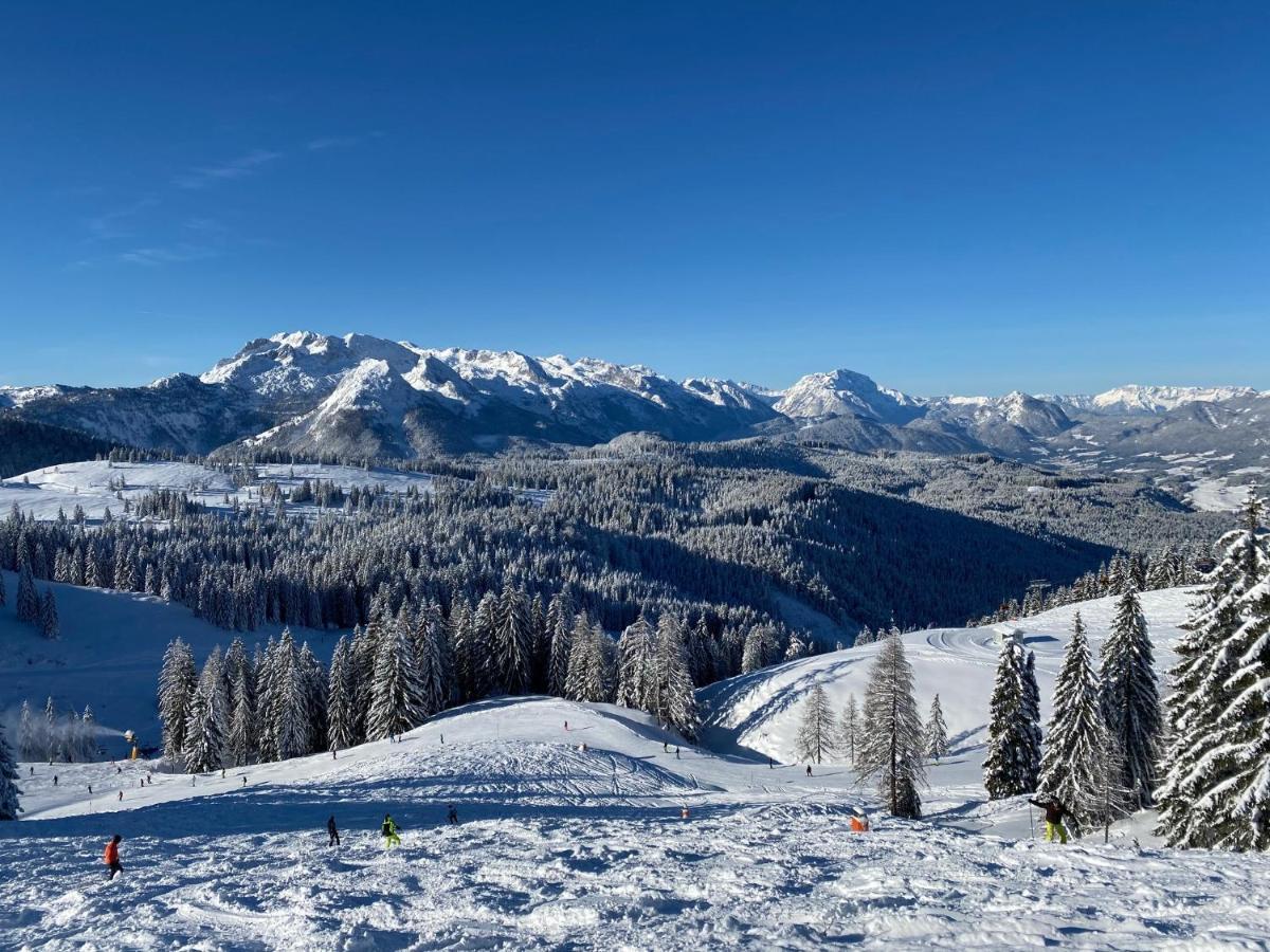 Апартаменти Dachstein Mountainview Гозау Екстер'єр фото
