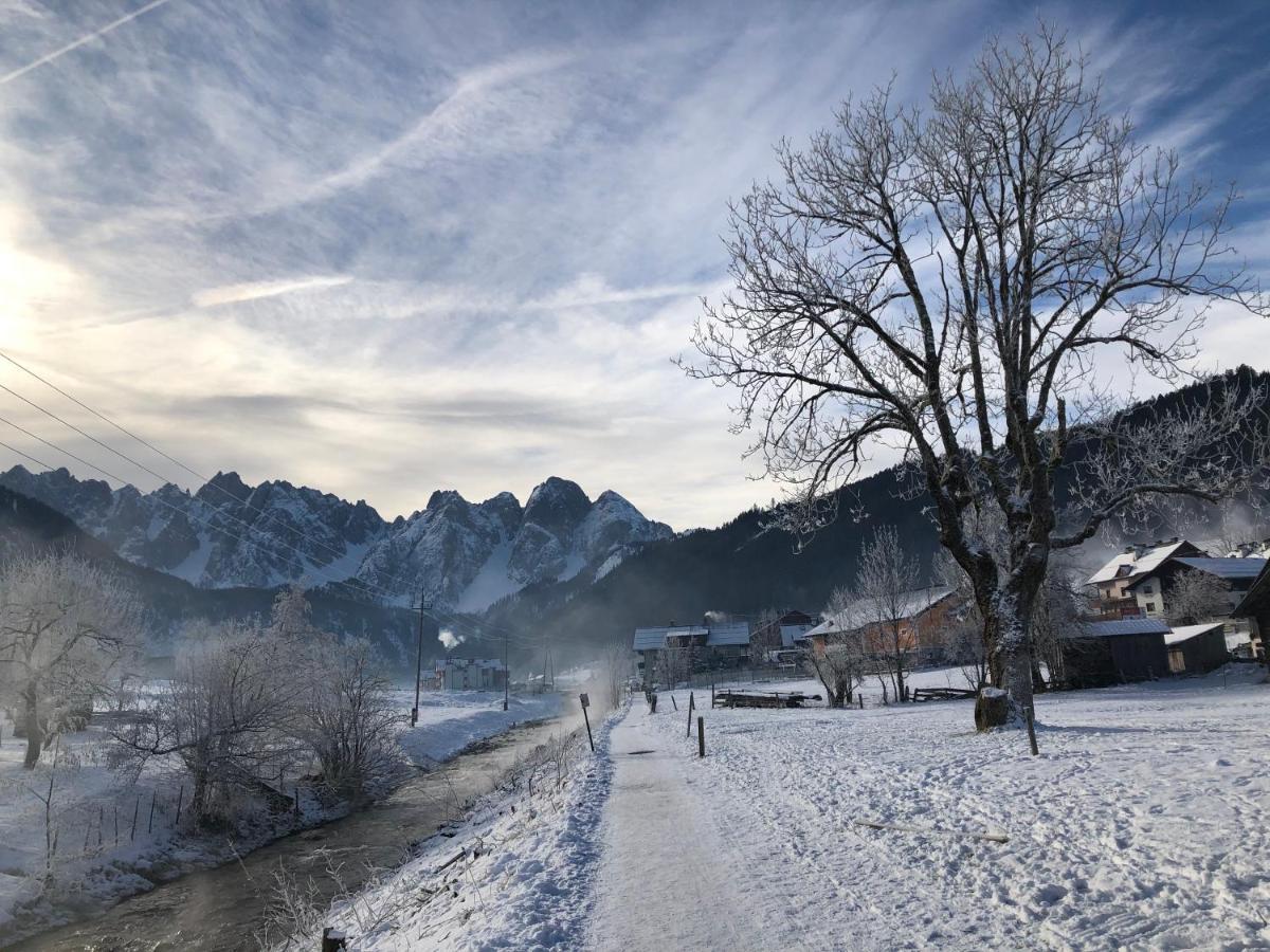 Апартаменти Dachstein Mountainview Гозау Екстер'єр фото