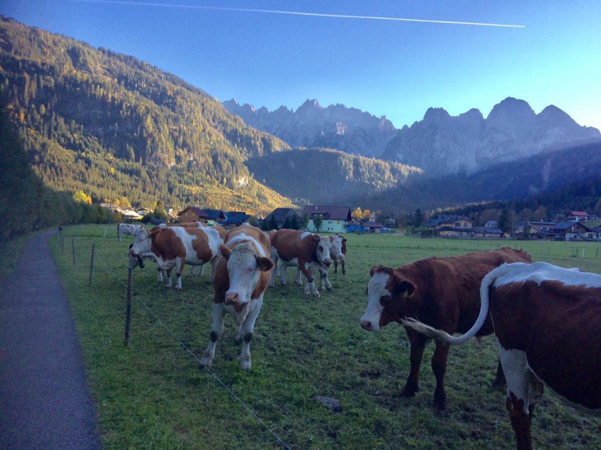 Апартаменти Dachstein Mountainview Гозау Екстер'єр фото