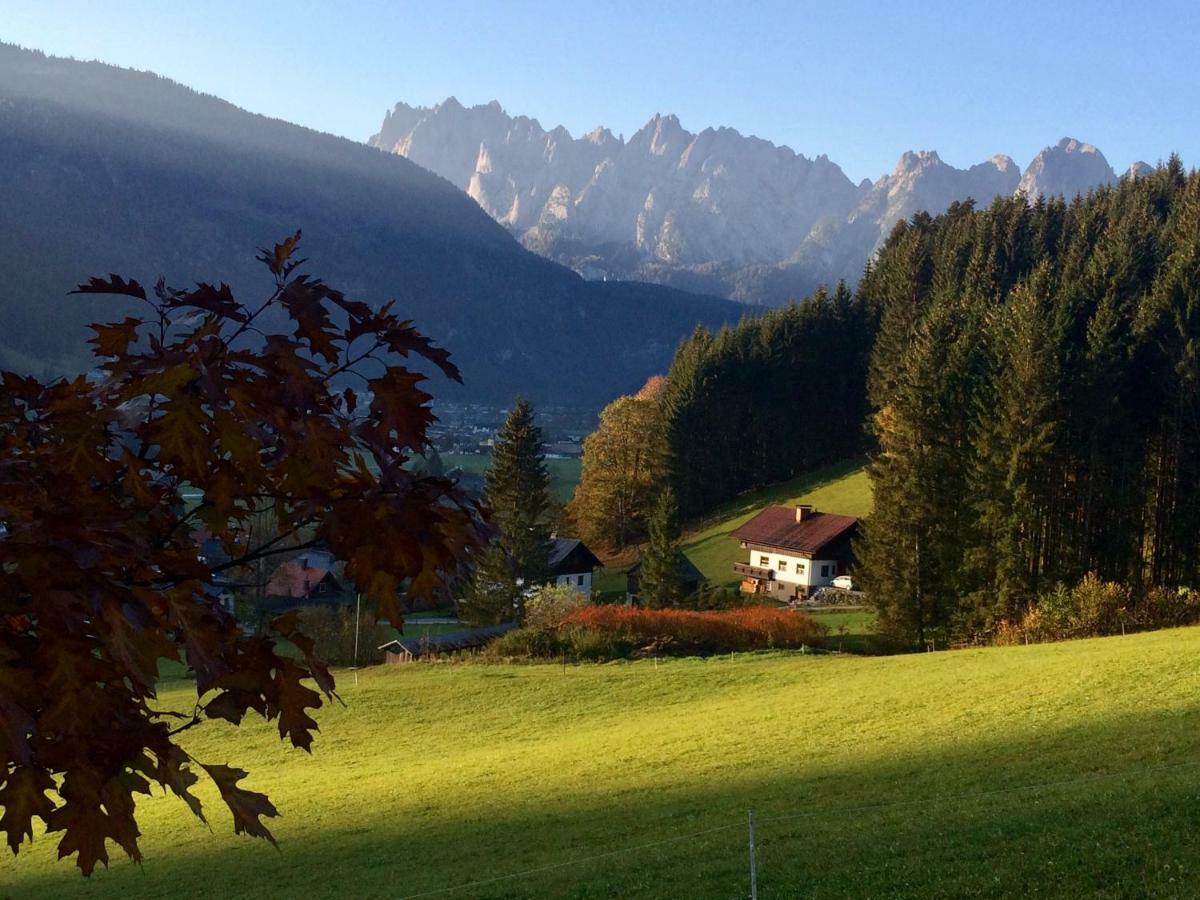 Апартаменти Dachstein Mountainview Гозау Екстер'єр фото